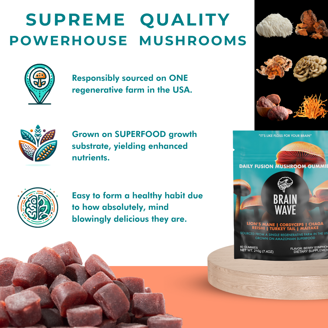 Superfood Mushroom Gummies 50% OFF!