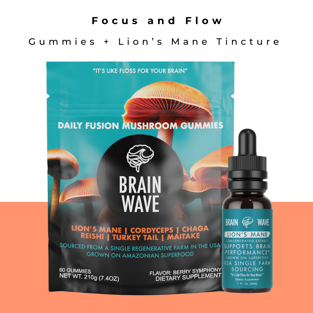 Focus and Flow Bundle