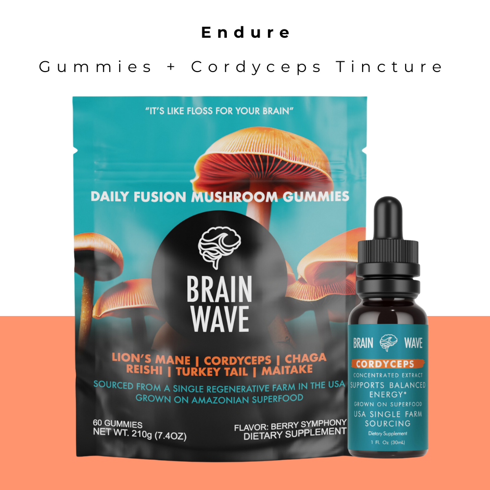 Endure Bundle