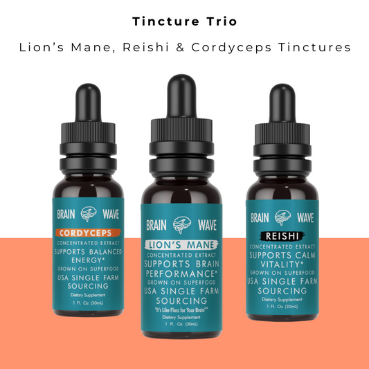 Mushroom Tincture Trio Bundle