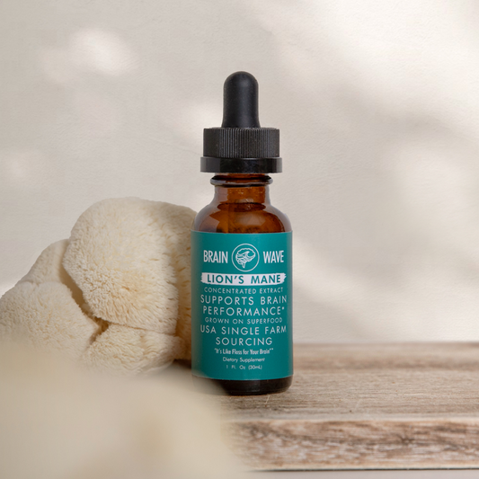 Lion's Mane Mushroom Tincture | Brain Performance