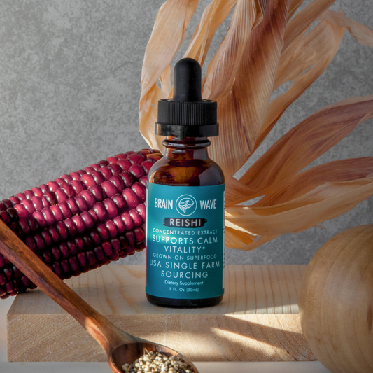 Reishi Mushroom Tincture | Calm & Balanced Vitality