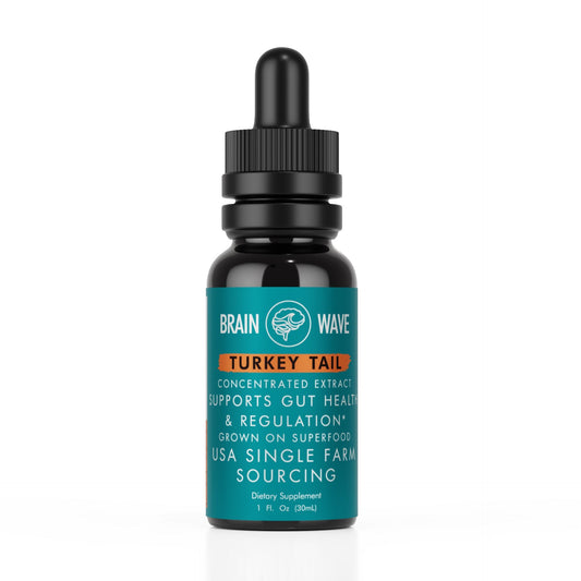 Turkey Tail Mushroom Tincture | Gut Health + Regulation